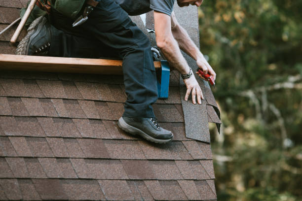 Best Flat Roof Repair Services  in Belle Fourche, SD